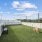 Rooftop Dog Park